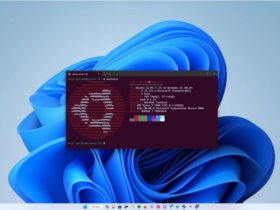 ΢ Win11 Linux ϵͳ ͼν WSL ϵͳ