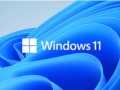 Win11D޷ʾô죿Win11D޷ʾĽ